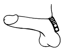 🐾 WILD HIDE — Handcrafted Exotic Leather Fetish Gear: WILD - Cock Ring Eyelet Deco - 102-1