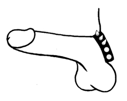 🐾 WILD HIDE — Handcrafted Exotic Leather Fetish Gear: WILD - Cock Ring Spike Deco - 102-2