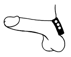 🐾 WILD HIDE — Handcrafted Exotic Leather Fetish Gear: WILD - Cock Ring Wide Plain - 103-0