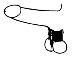 🐾 WILD HIDE — Handcrafted Exotic Leather Fetish Gear: WILD - Stretcher Divider Plain - 105-1