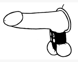 🐾 WILD HIDE — Handcrafted Exotic Leather Fetish Gear: WILD - Stretcher Divider & Cock Ring (Metal) Plain - 107-1