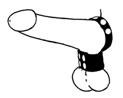 🐾 WILD HIDE — Handcrafted Exotic Leather Fetish Gear: WILD - Stretcher & Cock Ring (Leather) Plain - 109-0