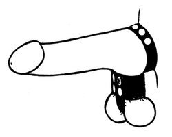 🐾 WILD HIDE — Handcrafted Exotic Leather Fetish Gear: WILD - Stretcher Divider & Cock Ring (Leather) Plain - 109-1