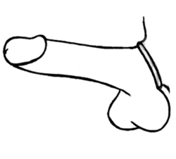 🐾 WILD HIDE — Handcrafted Exotic Leather Fetish Gear: WILD - METAL C - Ring 40mm - 110-1