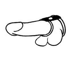 🐾 WILD HIDE — Handcrafted Exotic Leather Fetish Gear: WILD - C&B - Metal Cock Gate - 125-0