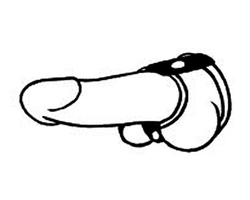 🐾 WILD HIDE — Handcrafted Exotic Leather Fetish Gear: WILD - C&B - Metal Cock Gate/Divider - 125-1