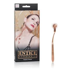 ⛓ FETISH — A Little Pain, A Lot of Pleasure: 4A - ENTICE PASSION WHEEL - SE-2720-25**