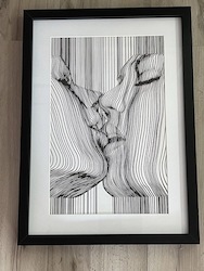 SENSUAL ART: SENSUAL ART SIZE 1 - BLACK AND WHITE - KISS - SEN-01**
