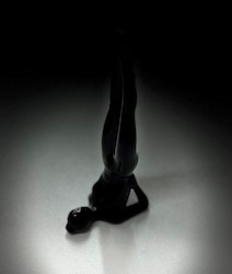 🛍️ THE GIFT FIX: S - YOGA LADIES BLACK LARGE - NO8 - SJ-YOGA**