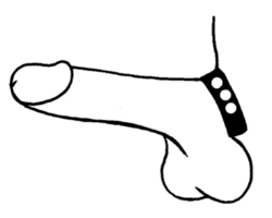 🐾 WILD HIDE — Handcrafted Exotic Leather Fetish Gear: WILD - Cock Ring Plain - 101-0