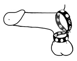 🐾 WILD HIDE — Handcrafted Exotic Leather Fetish Gear: WILD - Cock Ring 10 Speed - 104-0**