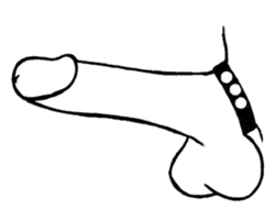 🐾 WILD HIDE — Handcrafted Exotic Leather Fetish Gear: WILD - Cock Ring Slim - 101-1