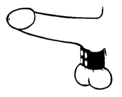 🐾 WILD HIDE — Handcrafted Exotic Leather Fetish Gear: WILD - Stretcher Standard Studded - 106-0