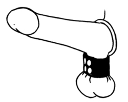 🐾 WILD HIDE — Handcrafted Exotic Leather Fetish Gear: WILD - Stretcher & Cockring (Metal) Plain - 107-0