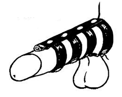 🐾 WILD HIDE — Handcrafted Exotic Leather Fetish Gear: WILD - Rings of Pleasure D-Ring - 121-1