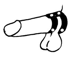 🐾 WILD HIDE — Handcrafted Exotic Leather Fetish Gear: WILD - C&B - Cock Gate - 120-5