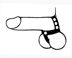 🐾 WILD HIDE — Handcrafted Exotic Leather Fetish Gear: WILD - C&B - T-Style Cock Ring - 122-0