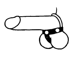 🐾 WILD HIDE — Handcrafted Exotic Leather Fetish Gear: WILD - C&B - T-Style Metal  - 122-1