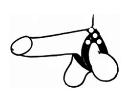 🐾 WILD HIDE — Handcrafted Exotic Leather Fetish Gear: WILD - C&B - V-Style Cock Ring - 129-0