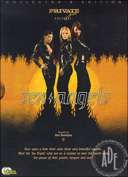 🔥 HETERO HEAT: DVD - 2 DISC - SEX ANGELS - 8386**