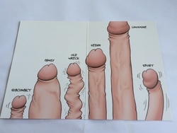 💌 Greeting Cards: 4B - GCARD - AT YOUR AGE ... - 1268