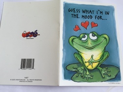 💌 Greeting Cards: 4B - GCARD - GUESS WHAT I AM ..... - 1407