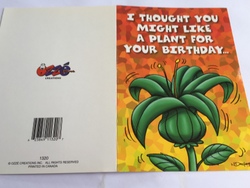 💌 Greeting Cards: 4B - GCARD - I THOUGHT YOU MIGHT LIKE... - 1320