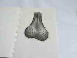 💌 Greeting Cards: 4B - GCARD - GOLF HAS ALWAYS BEEN ... 1298