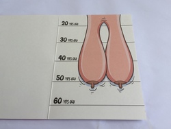 💌 Greeting Cards: 4B - GCARD - DID YOU KNOW...  - 1387