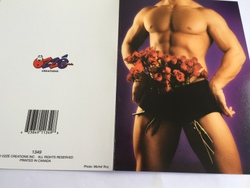 💌 Greeting Cards: 4B - GCARD - BET YOU CANT.... - 1349