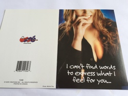 💌 Greeting Cards: 4B - GCARD - I CANT FINE THE WORDS - 1346