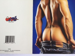 💌 Greeting Cards: 4B - GCARD - ISNT THIS THE KIND ... - 1344