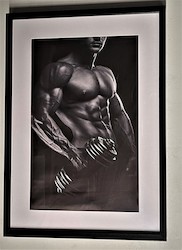 SENSUAL ART: MR MUSCLES - S-MM-6245**