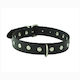 WILD - STUDDED D RING COLLAR - SMALL - 300-4**