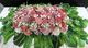 🌸 Blush Remembrance Casket Display