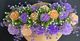 🌸Lavender and Apricot Garden - SJ-LGMD-02** 🌸