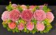 🌸Pink Peony Garden - SJ-MEDMD-03** 🌸
