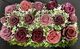 🌸Wine and Mauve Rose Garden - SJ-MEDMD-07** 🌸
