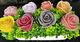 🌸 Rainbow Roses - Footprint Arrangement - SJ-FP-06🌸